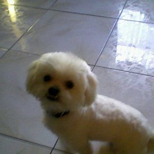 Meet your Posher, Vickie